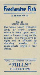 1958 Mills Freshwater Fish #25 Stone Loach Back
