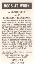 1970 VIMS Pet Food / Molassine Dogs at Work #16 Rhodesian Ridgeback Back