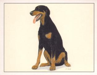 1999 Imperial Dog Collection Dobermann #5 Dobermann Front