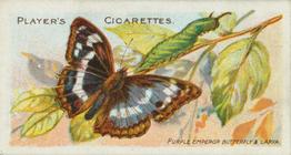 1904 Player's Butterflies & Moths #21 Purple Emperor Front