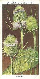 1937 Wills's Wild Flowers (2nd Series) #21 Teasel Front