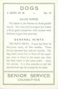 1939 Senior Service Dogs #14 Saluki Puppies Back