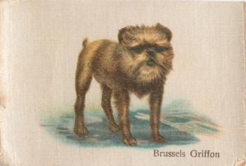 1913 British American Tobacco Best Dogs of their Breed #6 Brussels Griffon Front