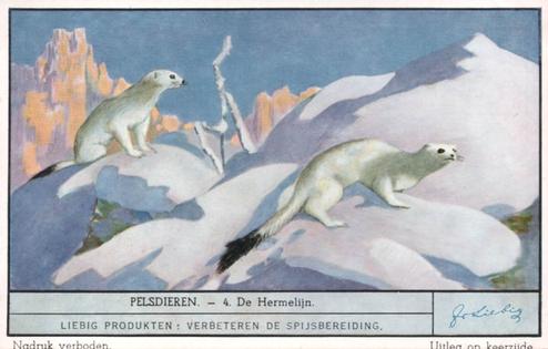 1941 Liebig Pelsdieren (Fur Animals) (Dutch Text) (F1425, S1486) #4 De Hermelijn Front