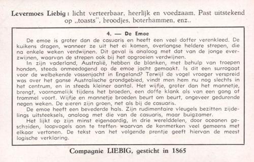 1953 Liebig Loopvogels (Flightless Birds) (Dutch Text) (F1570, S1580) #4 De Emoe Back