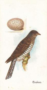 1906 Lambert & Butler Representing Birds & Eggs #15 Cuckoo Front