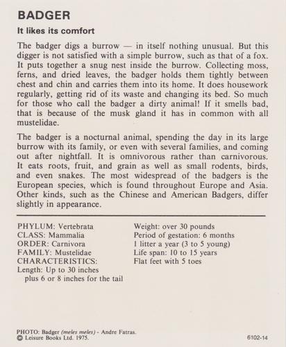 1975-80 Leisure Books Wildlife Treasury #6102-14 Badger Back