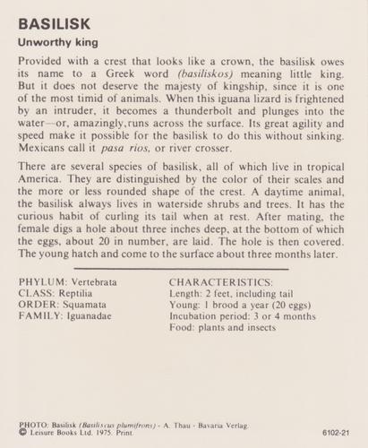 1975-80 Leisure Books Wildlife Treasury #6102-21 Basilisk Back