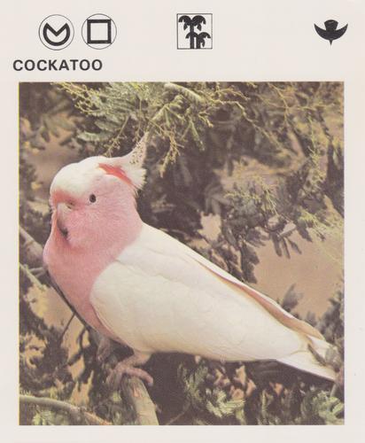 1975-80 Leisure Books Wildlife Treasury #6105-14 Cockatoo Front