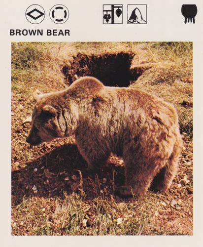 1975-80 Leisure Books Wildlife Treasury #7103-19 Brown Bear Front