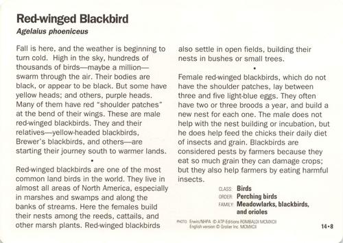 1991-95 Grolier Wildlife Adventure Cards #14.8 Red-winged Blackbird Back