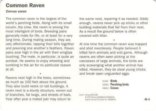 1991-95 Grolier Wildlife Adventure Cards #48.6 Common Raven Back