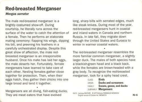 1991-95 Grolier Wildlife Adventure Cards #76.6 Red-breasted Merganser Back