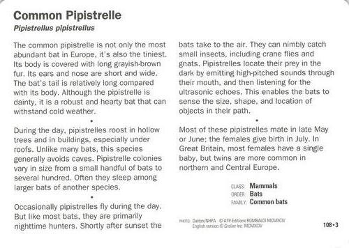 1991-95 Grolier Wildlife Adventure Cards #108.3 Common Pipistrelle Back