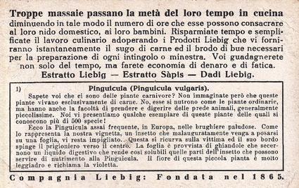 1933 Liebig Piante Carnivore (Carnivorous Plants)(Italian Text)(F1298, S1282) #1 Pingulcula Back
