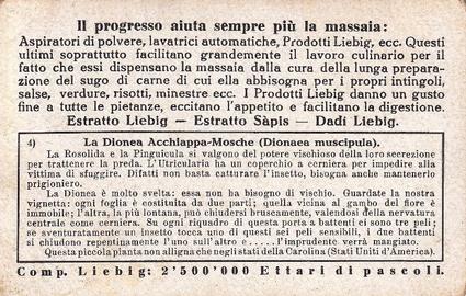 1933 Liebig Piante Carnivore (Carnivorous Plants)(Italian Text)(F1298, S1282) #4 Diones Back