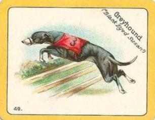 1926 Carreras The Grayhound Racing Game (Large) #49 Greyhound Front