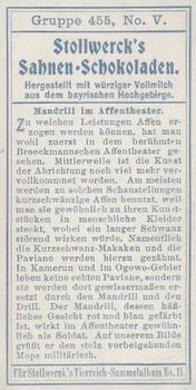 1910 Stollwerck Album 11 Gruppe 455 #5 Mandrill Back