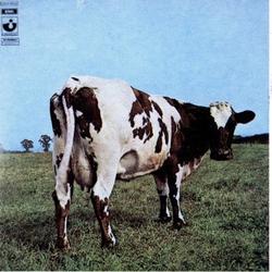 1981 Panini Discorama #185 Pink Floyd Front