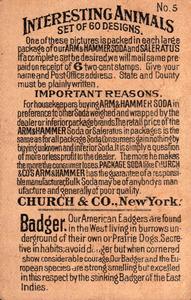 1898 Dwight's Soda Interesting Animals (J10) - Arm & Hammer Interesting Animals #5 Badger Back