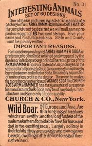 1898 Dwight's Soda Interesting Animals (J10) - Arm & Hammer Interesting Animals #31 Wild Boar Back