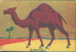 1940 Toy Animals (R159-1) #NNO Camel Front