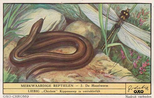 1949 Liebig Merkwaardige reptielen (Reptiles) (Dutch Text) (F1482, S1482) #2 De Hazelworm Front