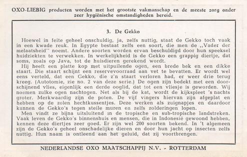 1949 Liebig Merkwaardige reptielen (Reptiles) (Dutch Text) (F1482, S1482) #3 De Gekko Back