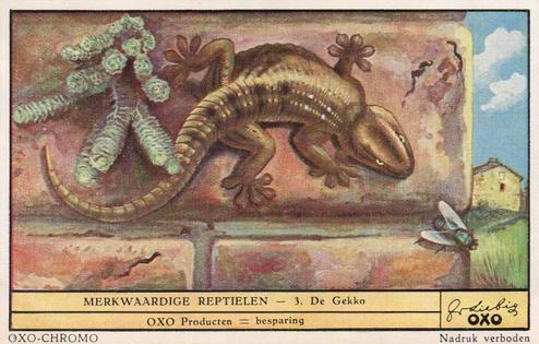 1949 Liebig Merkwaardige reptielen (Reptiles) (Dutch Text) (F1482, S1482) #3 De Gekko Front