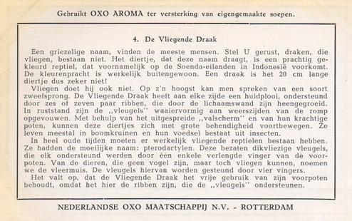 1949 Liebig Merkwaardige reptielen (Reptiles) (Dutch Text) (F1482, S1482) #4 De Vliegende Draak Back