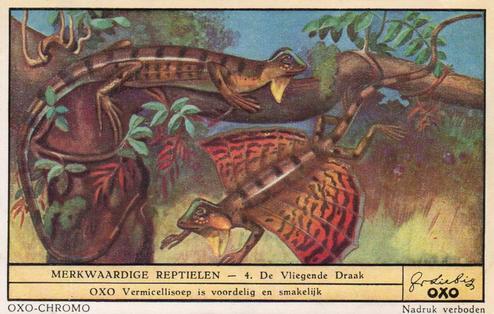 1949 Liebig Merkwaardige reptielen (Reptiles) (Dutch Text) (F1482, S1482) #4 De Vliegende Draak Front