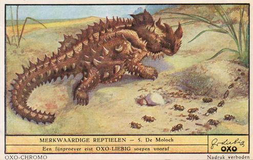 1949 Liebig Merkwaardige reptielen (Reptiles) (Dutch Text) (F1482, S1482) #5 De Moloch Front