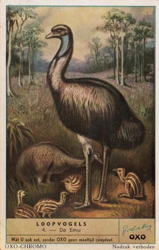 1953 Liebig/Oxo Loopvogels (Flightless Birds) (Dutch Text) (F1570, S1580) #4 De Emu Front