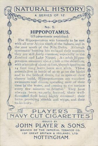 1924 Player's Natural History (Large 1st series) #5 Hippopotamus Back