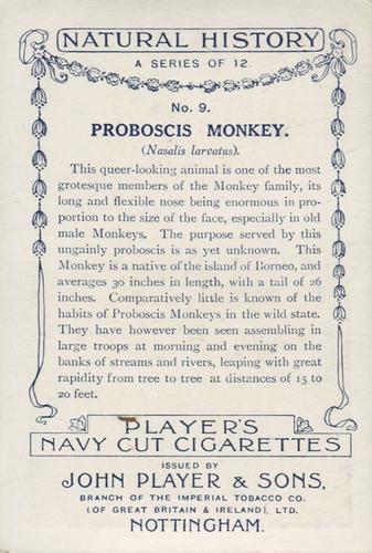 1924 Player's Natural History (Large 1st series) #9 Proboscis Monkey Back