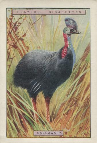 1924 Player's Natural History (Large 2nd series) #3 Cassowary Front