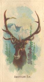 1920 Weber Animal Pictures Series A (D8) #NNO American Elk Front