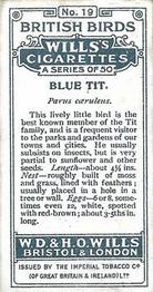 1915 Wills's British Birds #19 Blue Tit Back