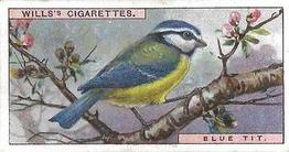 1915 Wills's British Birds #19 Blue Tit Front