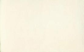1962 Dutch Gum E Set (straight letters) #E102 Burt Reynolds / Darren McGavin Back