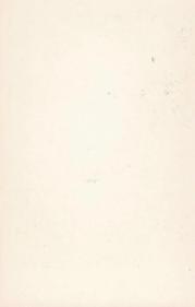 1950-59 Dutch Gum Serie C (Name in Script) #151 Frances Gifford Back