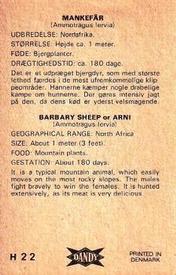 1969 Dandy Gum H Wild Animals (A) (Danish/English) #22 Barbary sheep Back