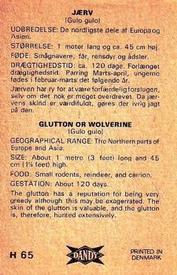 1969 Dandy Gum H Wild Animals (A) (Danish/English) #65 Glutton(Wolverine) Back
