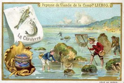 1899 Liebig Fishing II (French Text)(F600, S599) #NNO Shrimp Front