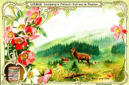 1900 Liebig From Field and Forest (German Text) (F629, S627) #NNO Elk Front
