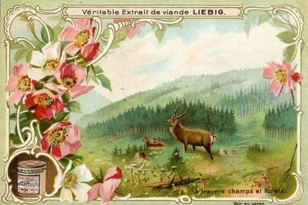 1900 Liebig From Field and Forest (French Text) (F629, S627) #NNO Elk Front