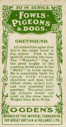 1904 Ogden's Fowls, Pigeons & Dogs #43 Greyhound Back