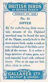1923 Gallaher British Birds #66 Dipper Back