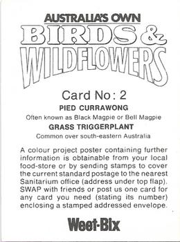 1976 Weet-Bix Australia's Own Birds & Wildflowers #2 Pied Currawong / Grass Triggerplant Back