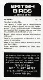 1975 Tetley Tea British Birds #14 Lapwing Back